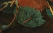 Jan van Huijsum Blumen und Fruchte Spain oil painting artist